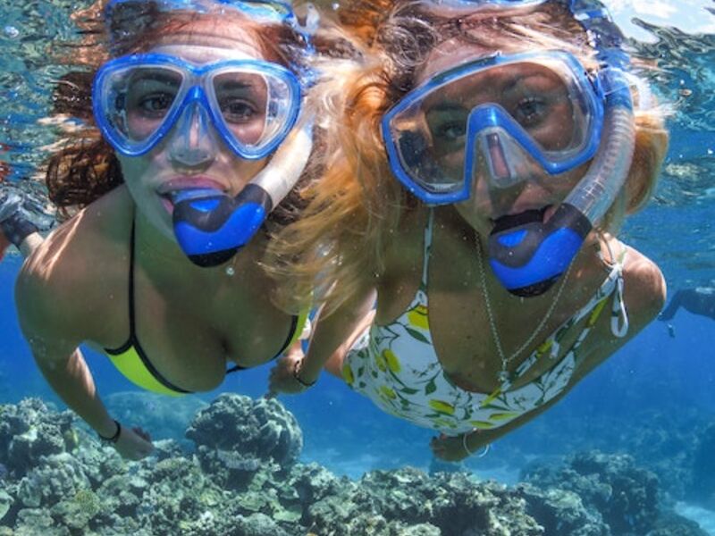 Outer Great Barrier Reef Full Day Tour With Lunch Cairns Tickets Und